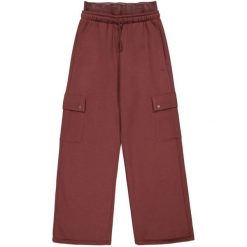 Spodnie Cargo Damskie. Brązowe spodnie sportowe Champion, l, bez wzorów, trekkingowe. Za 359.99 zł.