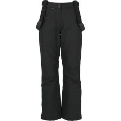 Spodnie narciarskie dla kobiet Whistler Drizzle Pro. Czarne spodnie narciarskie Whistler, bez wzorów, narciarskie. Za 319.99 zł.