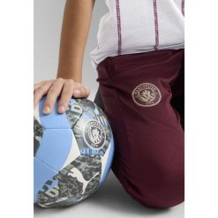 Młodzieżowe spodnie treningowe Manchester City PUMA Dark Jasper Red. Czerwona spodnie dresowe Puma, m, bez wzorów, z dresówki, do piłki nożnej. W wyprzedaży za 149.00 zł.