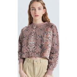 Krótka bluza z wężowym wzorem - Kremowy. Bluzy Cropp. W wyprzedaży za 29.99 zł.