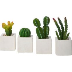 Sztuczne rośliny "Kaktusy" (4 części) bonprix ciemnozielono-biały. Sztuczne rzęsy bonprix. Za 54.99 zł.