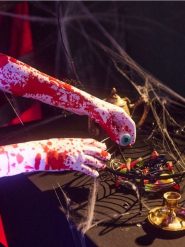 Akcesoria halloweenowe: rękawiczki i skarpetki - wielobarwny. Skarpety Sinsay, bez wzorów. Za 15.99 zł.