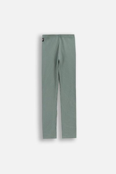 Prążkowane legginsy z długą nogawką. Zielone legginsy COCCODRILLO, z aplikacjami, prążkowane, długie. W wyprzedaży za 29.90 zł.