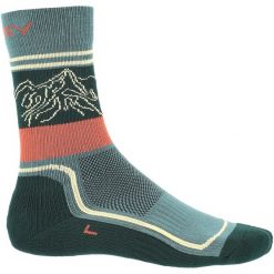 Skarpety trekkingowe damskie Viking Boosocks Heavy Bamboo Lady. Szare skarpety Viking, bez wzorów. Za 49.90 zł.
