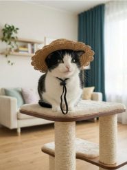 Kapelusz dla zwierząt - beżowy. Brązowe kapelusze Sinsay, bez wzorów. Za 9.99 zł.