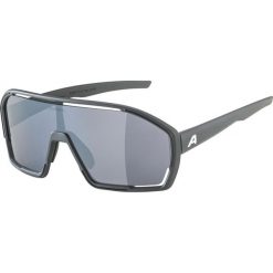 Okulary sportowe Bonfire ALPINA FOGSTOP szary. Czarne okulary przeciwsłoneczne Alpina, bez wzorów, sportowe. Za 146.70 zł.