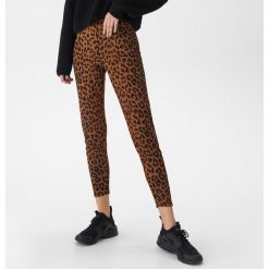 Legginsy w panterkę - Bordowy. Czerwone legginsy House, s, bez wzorów. W wyprzedaży za 19.99 zł.