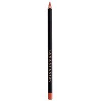 Anastasia Beverly Hills - Lip Liner - Kredka Do Ust - Matte& Satin Lip Liner - Peach Amber - Dla Kobiet. Konturówki do ust ANASTASIA BEVERLY HILLS. Za 99.00 zł.