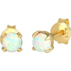 Elli Damskie kolczyki sztyfty Koło Niebieskie z syntetycznym opalem w srebrze próby 925 Sterling Silver Kolczyki 1 ct. Niebieskie kolczyki Elli, z opalem, srebrne, z klipsem. Za 203.99 zł.