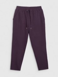 4F Spodnie dresowe damskie - fioletowe XS. Fioletowe spodnie dresowe 4f, l, bez wzorów, z bawełny. Za 129.99 zł.