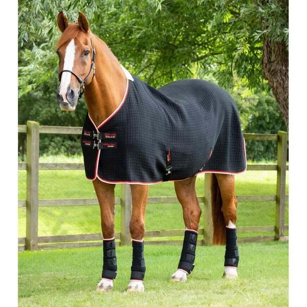 Koszula do suszenia dla koni Premier Equine Premtex. Czarne koszule PREMIER EQUINE, bez wzorów, z polaru, klasyczne, bez kołnierzyka, bez ramiączek. Za 733.00 zł.