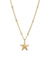 Elli Naszyjnik z zawieszką Damski zawieszka rozgwiazda Łańcuszek kulkowy 925 Sterling Silver Letni / Plażowy 38 cm Naszyjniki 1 ct. Szare naszyjniki Elli, srebrne. Za 233.99 zł.