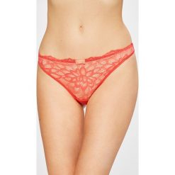 Triumph - Stringi Dream Spotlight. Stringi Triumph. W wyprzedaży za 37.90 zł.