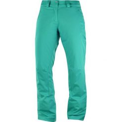 Salomon Damskie spodnie narciarskie Stormpunch Pant W Waterfall S. Spodnie narciarskie Salomon, s, bez wzorów, narciarskie. W wyprzedaży za 435.00 zł.
