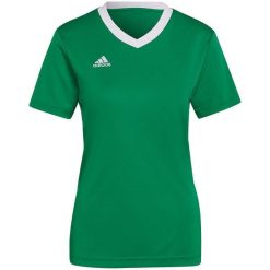 Koszulka piłkarska damska Adidas Entrada 22 Jersey. Zielone bluzki Adidas, xl, bez wzorów, z jersey, sportowe, bez kołnierzyka, bez ramiączek. Za 65.98 zł.