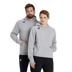 Bluza Arena Team Hooded Sweat Panel z kapturem. Szare bluzy Arena, xs, bez wzorów, z bawełny, z kapturem. Za 299.00 zł.