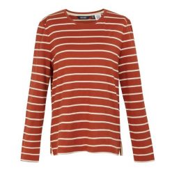 T-shirt Damski Paski Z Długim Rękawem Federica II. Brązowe t-shirty Regatta, xl, bez wzorów, bez kołnierzyka, bez ramiączek. Za 49.99 zł.