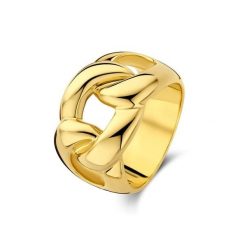 Parte Di Me Parte Di Me Bibbiena Poppi Adriane 925 Sterling Silver Gold Plated Ring PDM33069-60 Pierścionki 1 ct Damski. Szare pierścionki Parte Di Me, pozłacane. Za 292.99 zł.