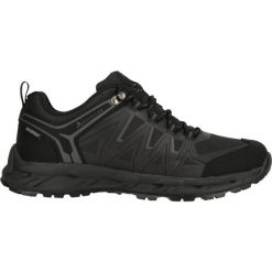 Buty trekkingowe Whistler Cardiff. Czarne trekkingi Whistler, z gumy, trekkingowe. Za 344.50 zł.