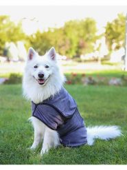 Paws&Whiskers Szlafrok w kolorze szarym dla psa rozmiar: L. Szare szlafroki Paws&Whiskers, l, bez wzorów, z materiału, bez ramiączek, bez kaptura. Za 169.99 zł.