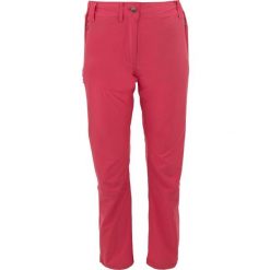 Nordblanc damskie spodnie outdoor różowe roz. 38. Czerwone spodnie dresowe Nordica, bez wzorów, outdoorowe. Za 245.99 zł.