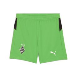 Młodzieżowe skarpety Borussia Mönchengladbach 25/26 PUMA Green Warm White. Biała skarpety Puma, bez wzorów. Za 179.00 zł.