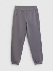 4F Spodnie dresowe joggery damskie - szare S. Szare spodnie dresowe 4f, s, bez wzorów, z dresówki. Za 129.99 zł.