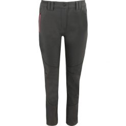 Damskie Spodnie Softshell Miura - Styl i Wygoda. Szare spodnie narciarskie ZSPORT, bez wzorów, z softshellu, trekkingowe. Za 263.99 zł.