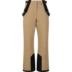 Spodnie narciarskie damskie Whistler Drizzle W-PRO 10000. Brązowe spodnie narciarskie Whistler, bez wzorów, narciarskie. Za 319.99 zł.