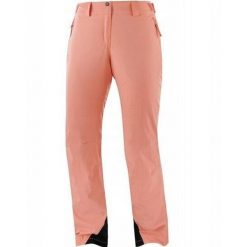 Spodnie zimowe na narty i snowboard damskie Salomon THE BRILLIANT. Brązowe spodnie narciarskie Salomon, m, bez wzorów, z elastanu, narciarskie. Za 339.00 zł.