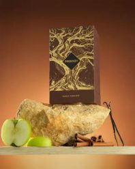 PARIS CORNER Prodigy EDP 100 ml woda perfumowana unisex. Perfumy męskie Paris Corner. W wyprzedaży za 125.00 zł.