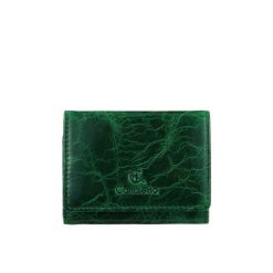 Mały portfel damski Canaletto ze skóry naturalnej licowej – elegancja i funkcjonalność PD2001s257. Zielone portfele bez wzorów, ze skóry. Za 148.20 zł.