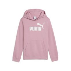 Młodzieżowa polarowa bluza z kapturem ESS z logo No. 1 PUMA Poised Pink. Czerwona bluzy sportowe Puma, m, bez wzorów, z polaru, z kapturem. Za 159.00 zł.