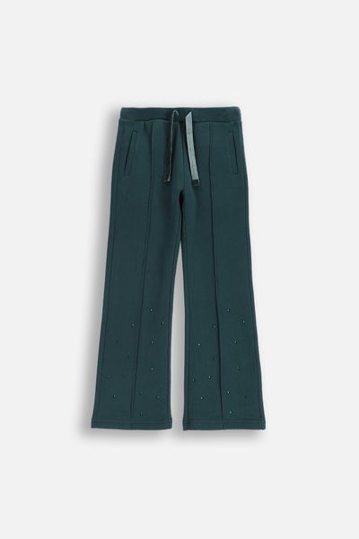 Spodnie dresowe SLIM FIT. Zielone spodnie dresowe COCCODRILLO, bez wzorów, z bawełny. W wyprzedaży za 59.90 zł.