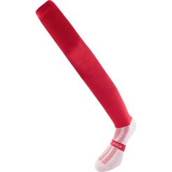 Skarpetki kolanowe PlayerLayer dla dorosłych - Scarlet Rood 39-45. Czerwone skarpety ZEAGLE, bez wzorów, z tkaniny. Za 61.99 zł.