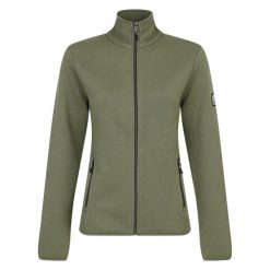 Bluza Damska Glissade. Zielone bluzy Dare 2b, xs, bez wzorów, bez kaptura. Za 93.99 zł.