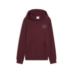 Młodzieżowa bluza z kapturem PUMA Class z grafiką PUMA Ruby Shimmer Red. Czerwona bluzy Puma, m, bez wzorów, z kapturem. Za 229.00 zł.