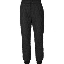 Damskie spodnie wodoodporne Whistler Nelly. Czarne spodnie sportowe Whistler, na lato, bez wzorów, trekkingowe. Za 252.50 zł.