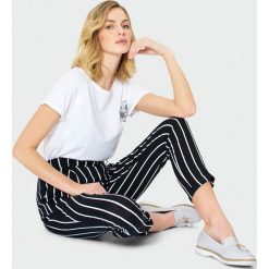 Spodnie w paski. Szorty Greenpoint. Za 79.99 zł.