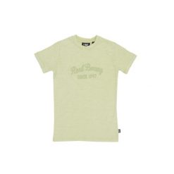 Koszulka miękki z bawełna na co dzień na siłownię. Zielone bluzki LEONE 1947 APPAREL, bez wzorów, z bawełny, sportowe, bez kołnierzyka, bez ramiączek. W wyprzedaży za 44.86 zł.