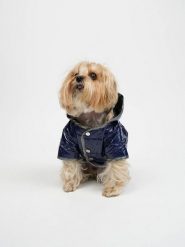 Paws&Whiskers Bluza w kolorze granatowym dla psa rozmiar: XXL. Niebieskie bluzy Paws&Whiskers, xxl, bez wzorów, bez kaptura. Za 91.99 zł.