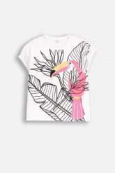 T-shirt z krótkim rękawem. Białe t-shirty COCCODRILLO, bez wzorów, z bawełny, bez kołnierzyka, bez ramiączek. W wyprzedaży za 39.90 zł.