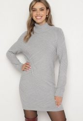Szara Dzianinowa Sukienka o Pudełkowym Kroju z Golfem Sinelina. Szare sukienki Born2be, na co dzień, l, bez wzorów, z dzianiny, eleganckie, bez kołnierzyka, bez ramiączek, mini, dopasowane. Za 84.99 zł.