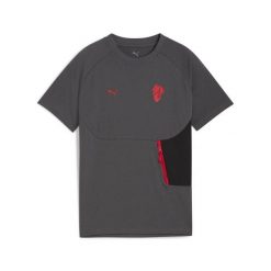 Młodzieżowa koszulka AC Milan PUMATECH z kieszenią PUMA. Czerwona bluzki Puma, m, bez wzorów, młodzieżowe, bez kołnierzyka, bez ramiączek. Za 179.00 zł.