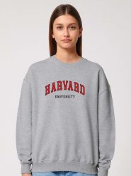 American Universities Bluza "Harvard University" w kolorze szarym rozmiar: XXL. Szare bluzy American Universities, xxl, bez wzorów, bez kaptura. Za 105.63 zł.
