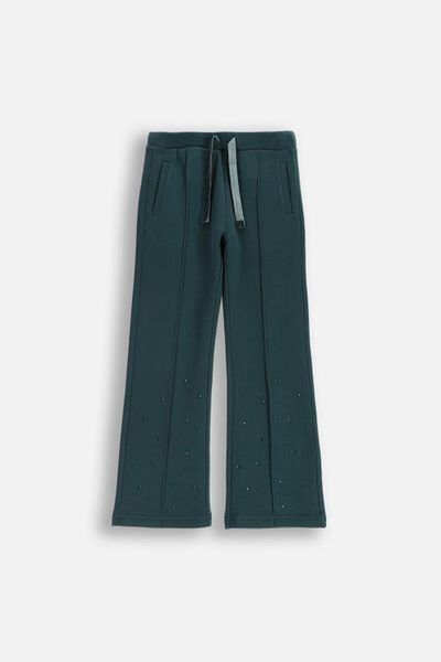 Spodnie dresowe SLIM FIT. Zielone spodnie dresowe COCCODRILLO, bez wzorów, z bawełny. W wyprzedaży za 59.90 zł.