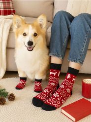 Zestaw: Skarpetki dla psa i właściciela - czerwony. Czerwone skarpety Sinsay, bez wzorów. Za 15.99 zł.