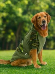 Paws&Whiskers Bluza w kolorze khaki dla psa rozmiar: 8XL. Brązowe bluzy Paws&Whiskers, xl, bez wzorów, bez kaptura. Za 130.95 zł.