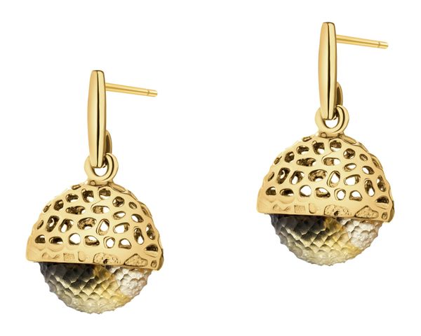 Kolczyki srebrne z bursztynem. Szare kolczyki Apart, z bursztynem, pozłacane. Za 519.00 zł.