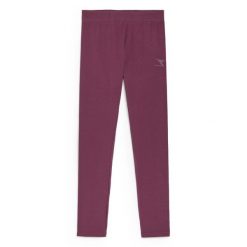 Legginsy damskie DIADORA L.LEGGINGS CORE. Fioletowe legginsy Diadora, l, bez wzorów. Za 49.99 zł.